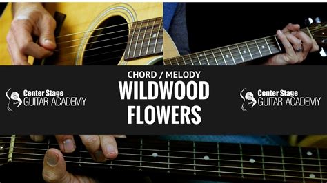  「Wildwood Flower」: アコースティックギターの煌めきと切ないメロディが織りなす、ブルーグラスの至宝